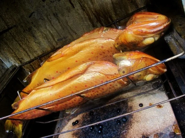 Rezept: Forellen geräuchert ... Bild Nr. 8 Forellen geräuchert ... - Rezept - Bild Nr. 8