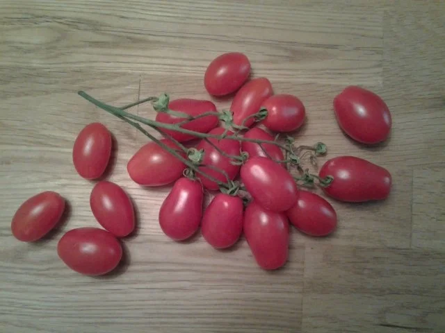 Gorgonzola-Mangold- Tagliatelle - Rezept - Bild Nr. 4