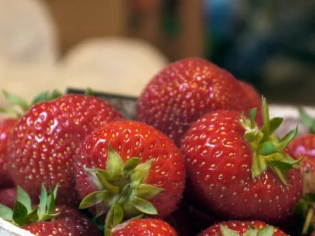 Rezept: Erdbeer-Tiramisu Bild Nr. 2 Erdbeer-Tiramisu - Rezept - Bild Nr. 2