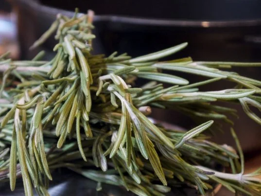 Rezept: Rosmarin-Knoblauch-Gelee Bild Nr. 3 Rosmarin-Knoblauch-Gelee - Rezept - Bild Nr. 3