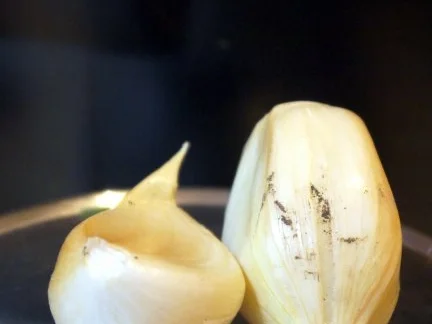 Rezept: Rosmarin-Knoblauch-Gelee Bild Nr. 4 Rosmarin-Knoblauch-Gelee - Rezept - Bild Nr. 4