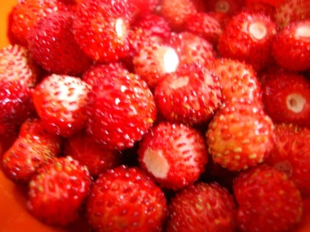 gekühlte Pfirsich-Sekt Suppe mit Walderdbeeren. - Rezept - Bild Nr. 9