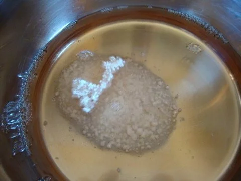 gekühlte Pfirsich-Sekt Suppe mit Walderdbeeren. - Rezept - Bild Nr. 3