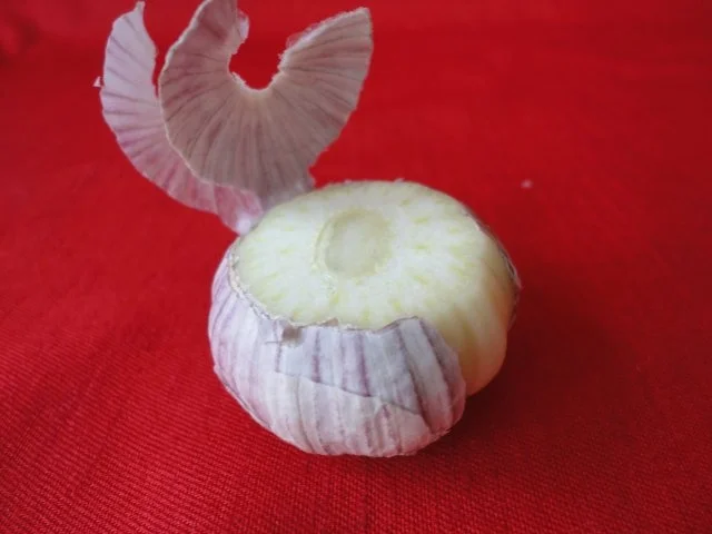 Rezept: Knoblauch Saucen Dip Bild Nr. 2 Knoblauch Saucen Dip - Rezept - Bild Nr. 2