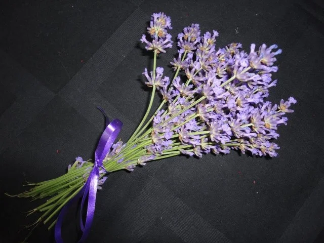 Rezept: Lavendel Zucker Lavendel Zucker - Rezept