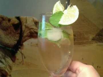 ***H U G O*** - Rezept - Bild Nr. 3