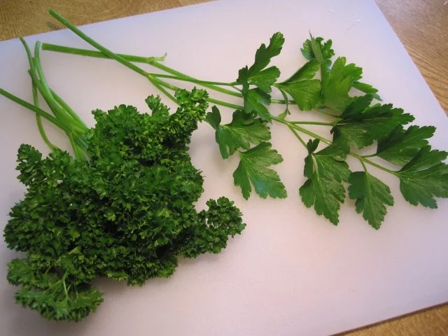 Salat mit Radieschen und Gremolata - Rezept - Bild Nr. 2