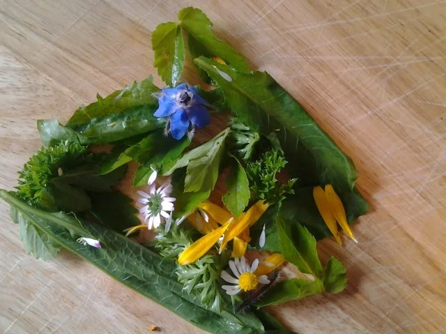 Kräuterbutter mit Wildkräutern - Rezept - Bild Nr. 2