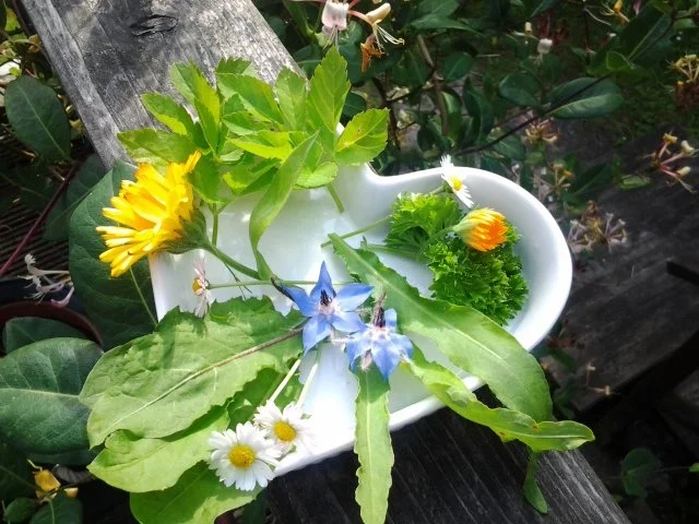 Kräuterbutter mit Wildkräutern - Rezept - Bild Nr. 3