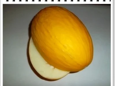 Avocado - Honigmelone - Banane Smoothie - Rezept - Bild Nr. 4