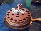 Schnelle Mandarinen - Quark - Torte - Rezept