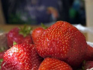 Erdbeer-Panna-Cotta - Rezept - Bild Nr. 2