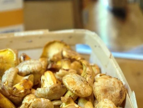 Spaghetti mit Rahmpfifferlingen - Rezept - Bild Nr. 2