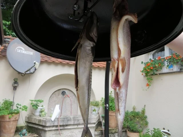 ......Fisch räuchern - Rezept - Bild Nr. 2