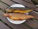 ......Fisch räuchern - Rezept