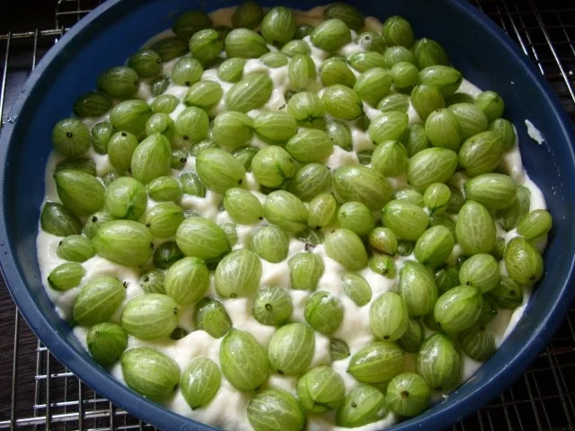 Rezept: Stachelbeer - Streusel - Kuchen Bild Nr. 2 Stachelbeer - Streusel - Kuchen - Rezept - Bild Nr. 2