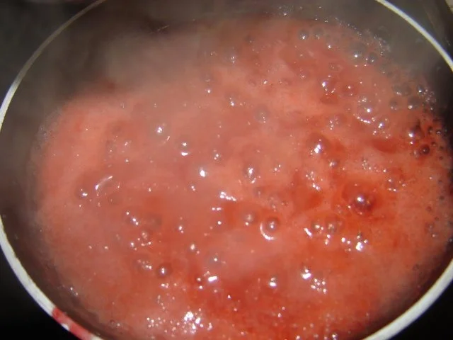 Erdbeer Panna Cotta - Rezept - Bild Nr. 13