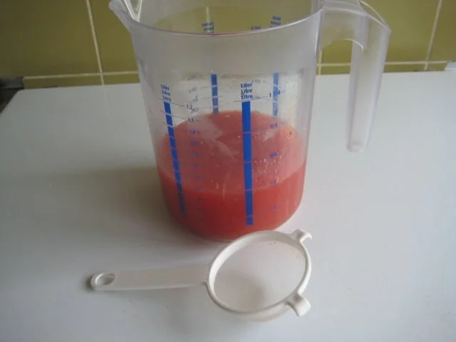 Blutorangen-Sorbet - Rezept - Bild Nr. 5