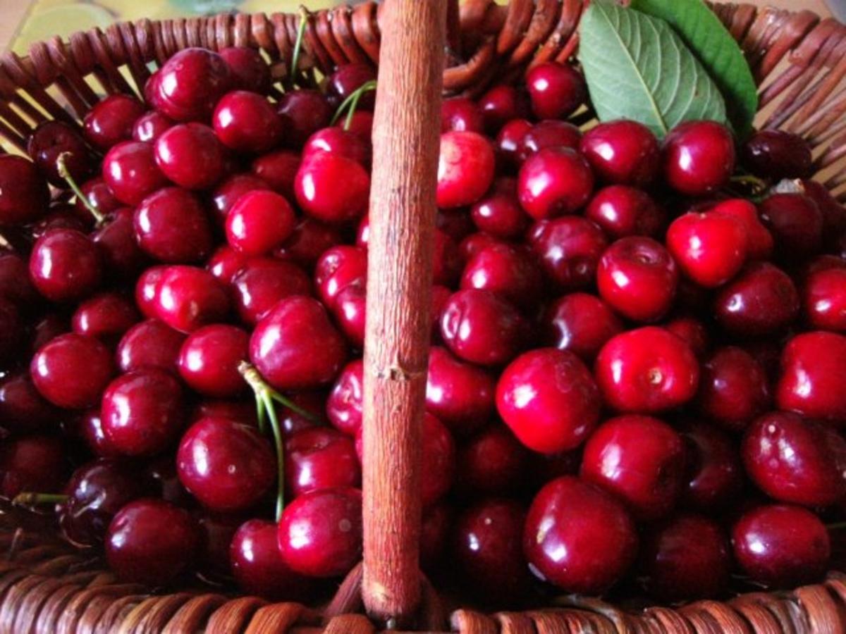 Kirsch - Marmelade mit Schokolade - Rezept - kochbar.de