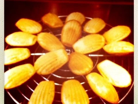 Madeleines - Rezept