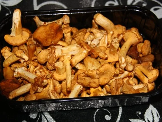 Pfifferlinge Geräuchert - Rezept - Bild Nr. 4