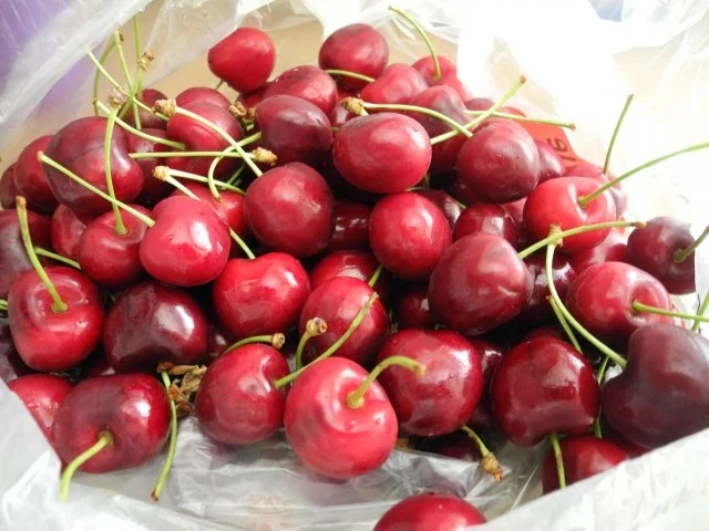 Rezept: Süße Mahlzeit : Eierpfannkuchen mit Kirschen Bild Nr. 7 Süße Mahlzeit : Eierpfannkuchen mit Kirschen - Rezept - Bild Nr. 7