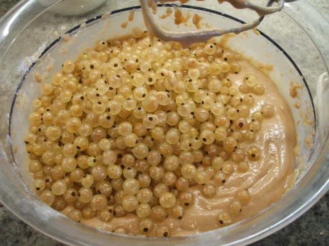 Backen: Nougatmuffins mit weißen Johannisbeeren - Rezept - Bild Nr. 5