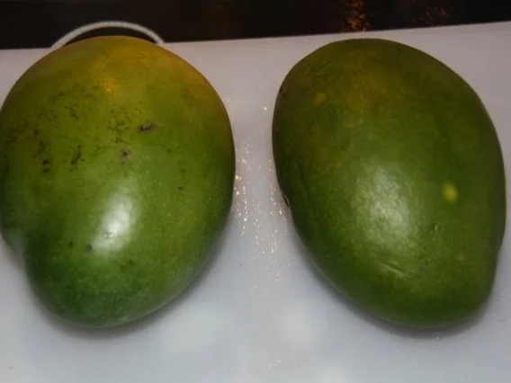 Mango Marmelade - Rezept - Bild Nr. 5