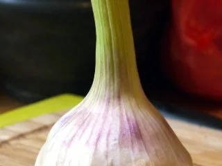 Voatisperifery-Hähnchen auf Tomaten-Aprikosen-Bett - Rezept - Bild Nr. 4