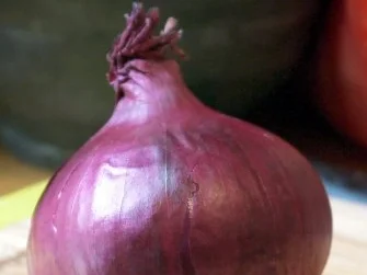 Voatisperifery-Hähnchen auf Tomaten-Aprikosen-Bett - Rezept - Bild Nr. 5