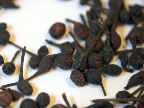 Voatisperifery-Hähnchen auf Tomaten-Aprikosen-Bett - Rezept - Bild Nr. 8