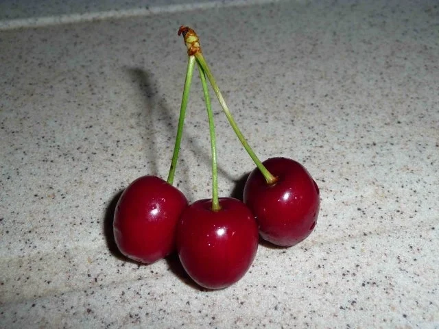 Leegebrucher Kirschkuchen - Rezept - Bild Nr. 2