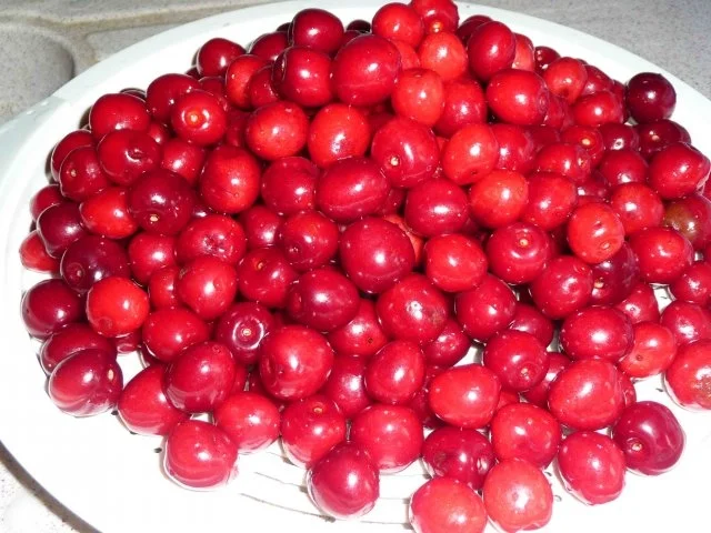 Leegebrucher Kirschkuchen - Rezept - Bild Nr. 3