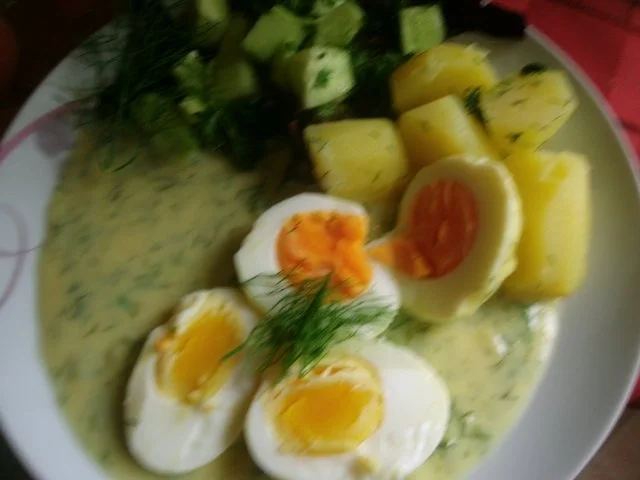 Rezept: Eier in Dillsauce Bild Nr. 6 Eier in Dillsauce - Rezept - Bild Nr. 6