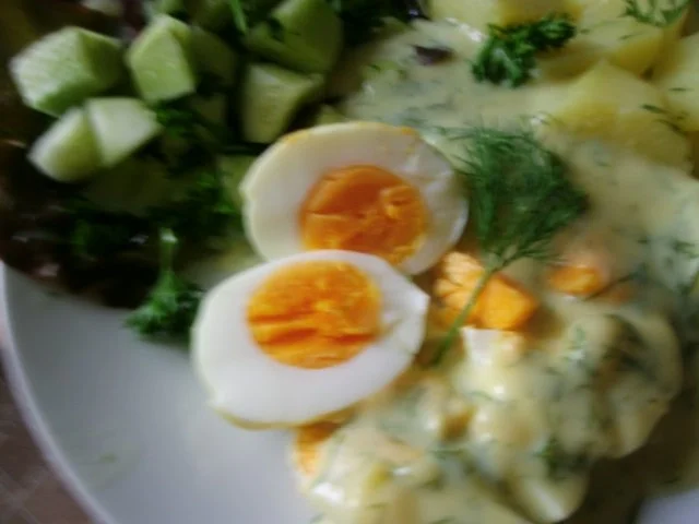 Rezept: Eier in Dillsauce Bild Nr. 9 Eier in Dillsauce - Rezept - Bild Nr. 9