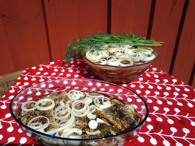 Bratheringe schwedische Art ( Stekt Strömming) - Rezept