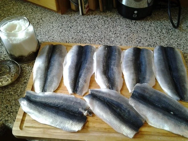 Bratheringe schwedische Art ( Stekt Strömming) - Rezept - Bild Nr. 3