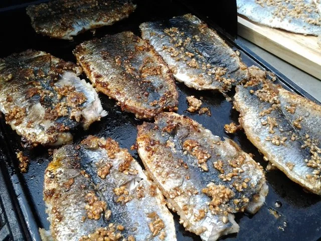 Bratheringe schwedische Art ( Stekt Strömming) - Rezept - Bild Nr. 5