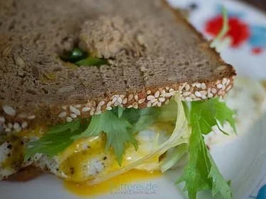 Getoastetes Eiersandwich auf Vollkornbrot - Rezept