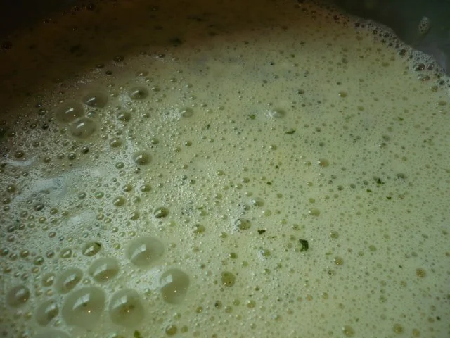 Rezept: Dinkelspaghetti mit Kräuterschaum Bild Nr. 6 Dinkelspaghetti mit Kräuterschaum - Rezept - Bild Nr. 6