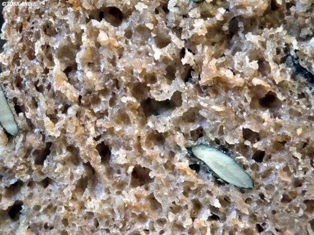 Rucki-Zucki Dinkelvollkornbrot mit Kürbiskernen - Rezept - Bild Nr. 11