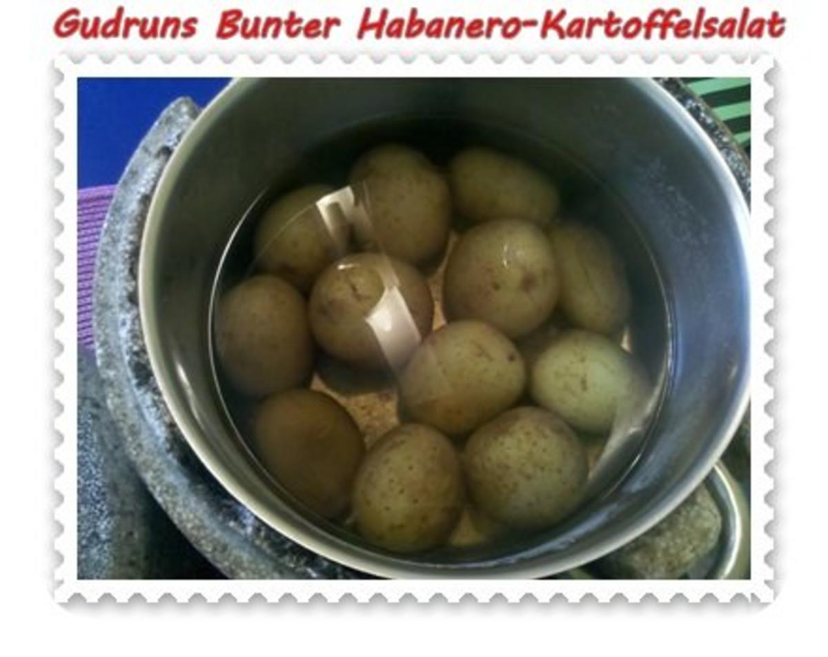 Salat: Bunter Habanero-Kartoffelsalat - Rezept - Bild Nr. 2
