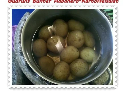 Rezept: Salat: Bunter Habanero-Kartoffelsalat Bild Nr. 2 Salat: Bunter Habanero-Kartoffelsalat - Rezept - Bild Nr. 2