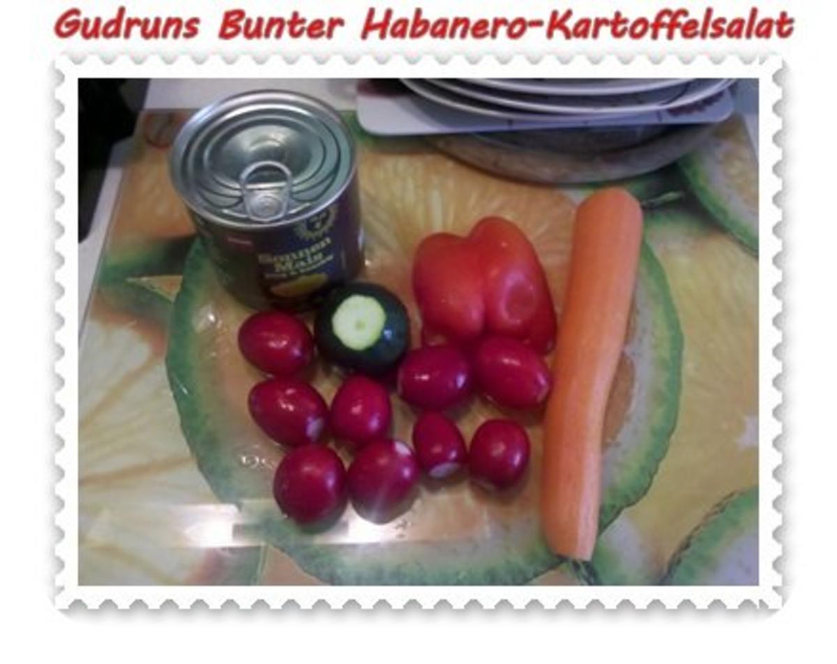 Salat: Bunter Habanero-Kartoffelsalat - Rezept - Bild Nr. 4