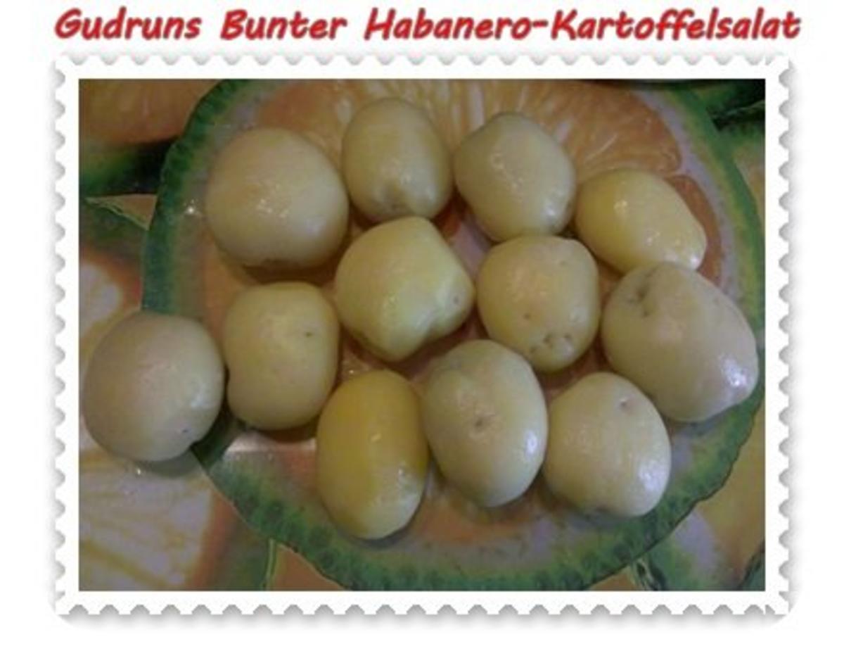 Salat: Bunter Habanero-Kartoffelsalat - Rezept - Bild Nr. 7