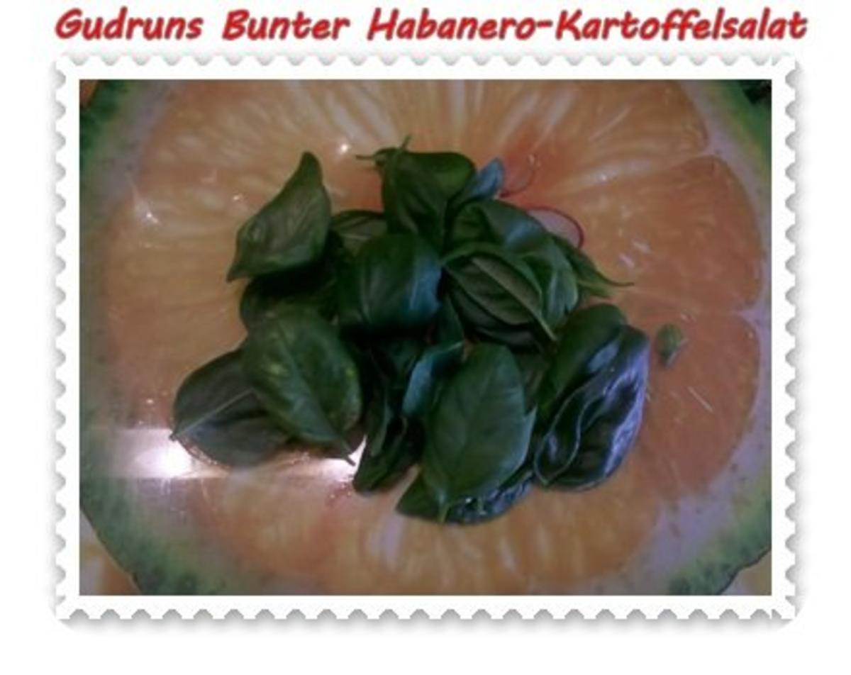 Salat: Bunter Habanero-Kartoffelsalat - Rezept - Bild Nr. 9