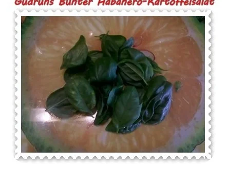 Rezept: Salat: Bunter Habanero-Kartoffelsalat Bild Nr. 9 Salat: Bunter Habanero-Kartoffelsalat - Rezept - Bild Nr. 9