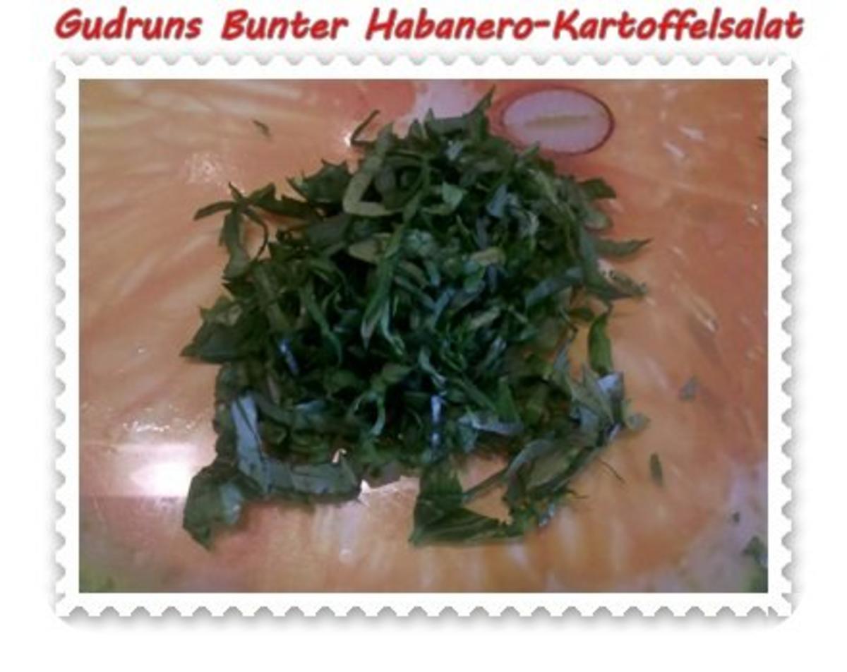 Salat: Bunter Habanero-Kartoffelsalat - Rezept - Bild Nr. 11