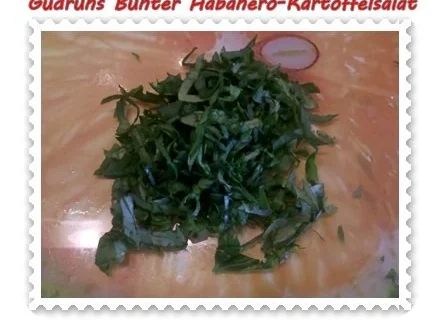 Rezept: Salat: Bunter Habanero-Kartoffelsalat Bild Nr. 11 Salat: Bunter Habanero-Kartoffelsalat - Rezept - Bild Nr. 11