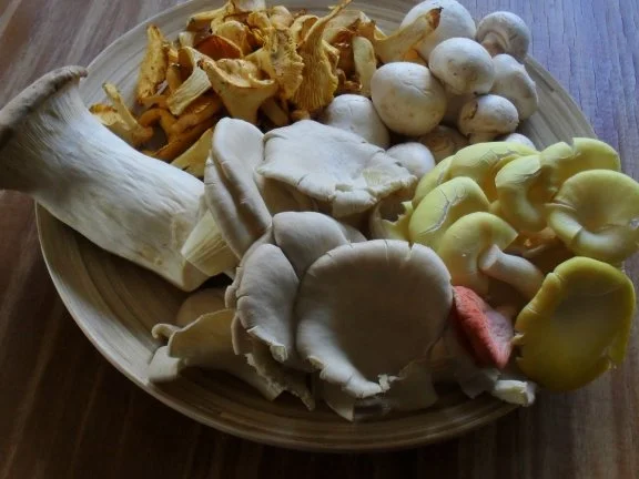 Rezept: Jägerschnitzel Bild Nr. 3 Jägerschnitzel - Rezept - Bild Nr. 3